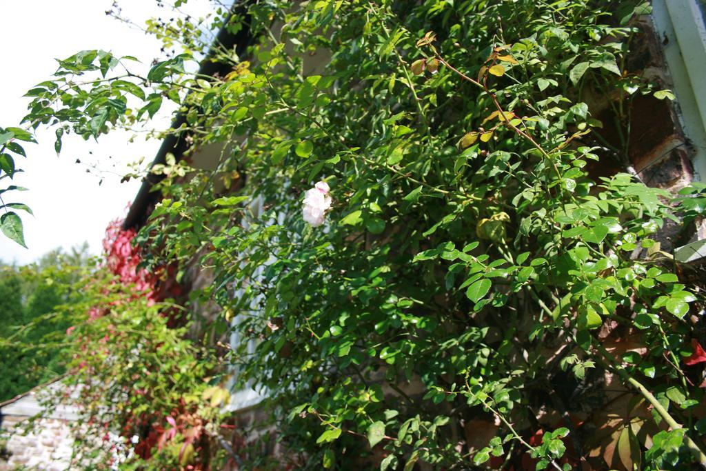 Hotel The Bark House Tiverton  Exterior foto
