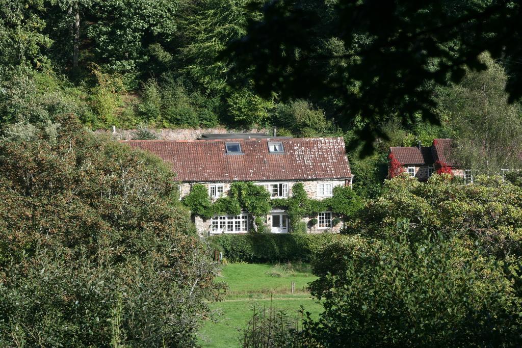 Hotel The Bark House Tiverton  Exterior foto